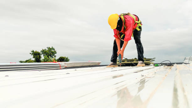 Best Roof Insulation Installation  in Elkhart Lake, WI